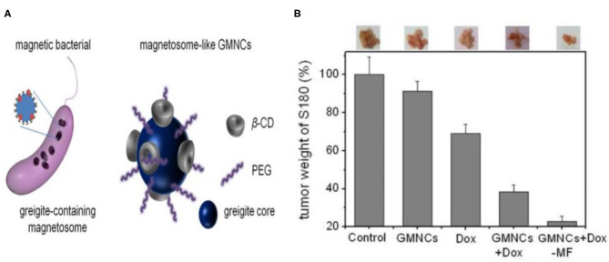 Figure 7