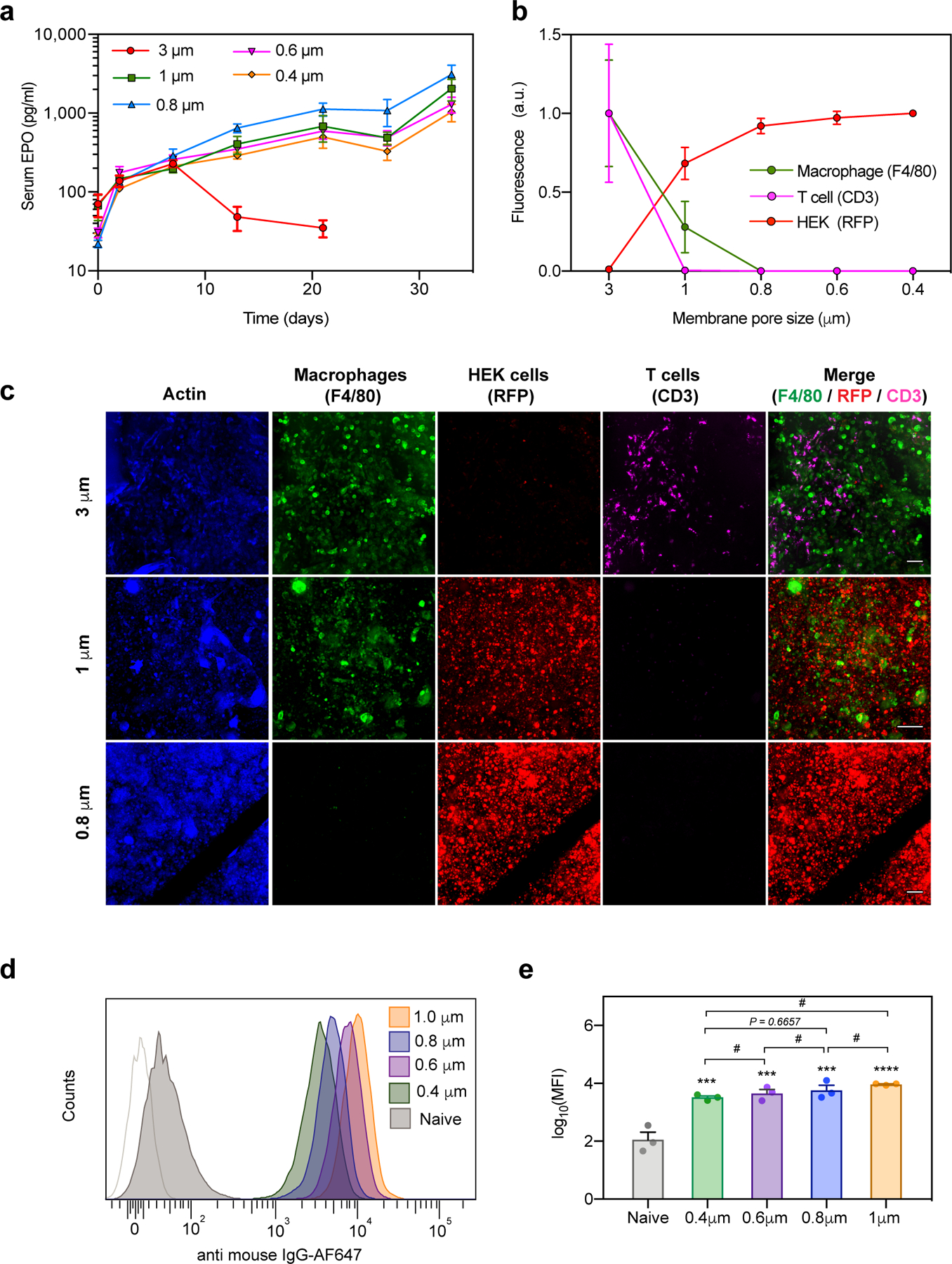 Figure 2: