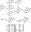 Scheme 3