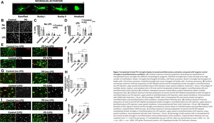 graphic file with name 10.1177_23982128251339668-fig9.jpg