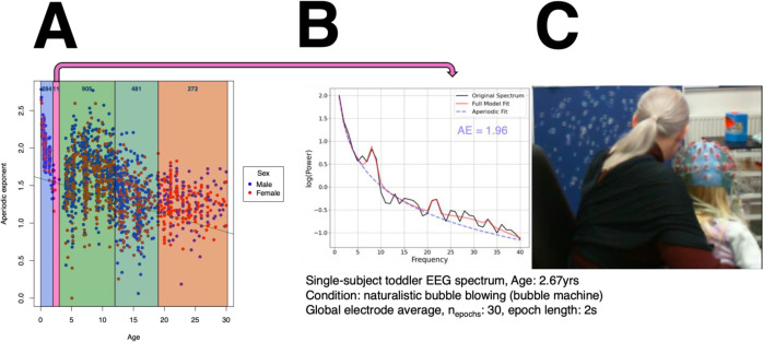 graphic file with name 10.1177_23982128251339668-fig33.jpg