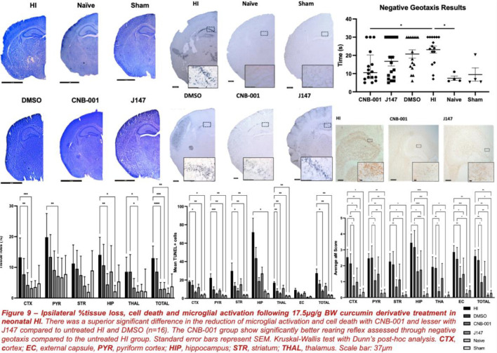 graphic file with name 10.1177_23982128251339668-fig18.jpg