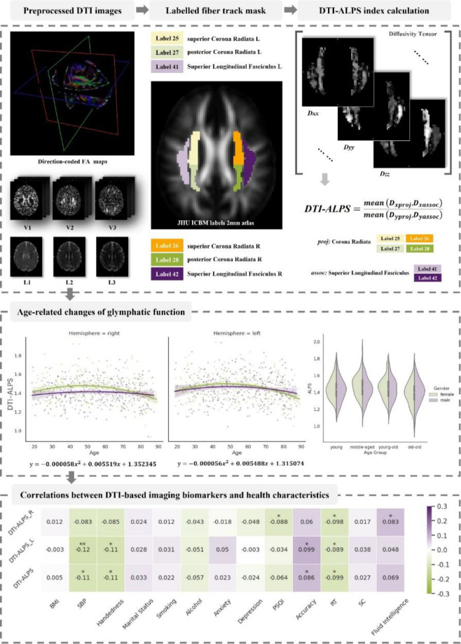 graphic file with name 10.1177_23982128251339668-fig3.jpg