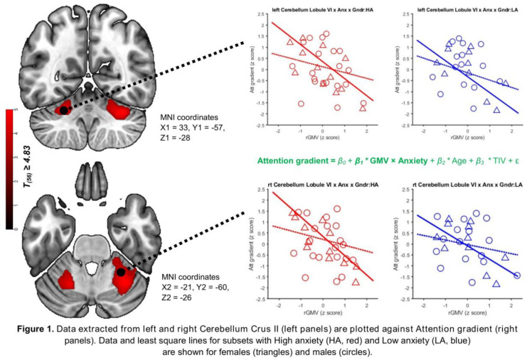 graphic file with name 10.1177_23982128251339668-fig34.jpg