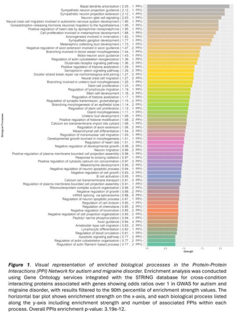 graphic file with name 10.1177_23982128251339668-fig36.jpg