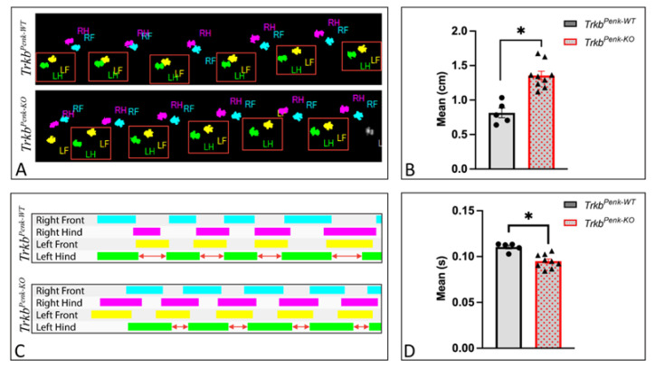 graphic file with name 10.1177_23982128251339668-fig5.jpg