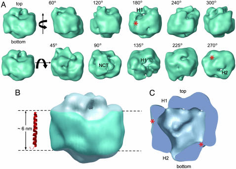 Fig. 4