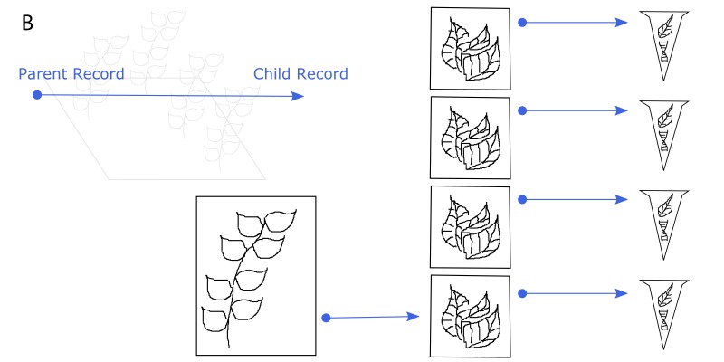 Figure 4b.