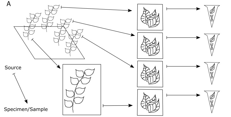 Figure 4a.