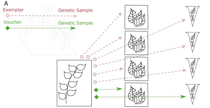 Figure 4c.