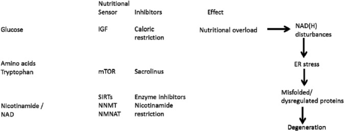 Figure 32