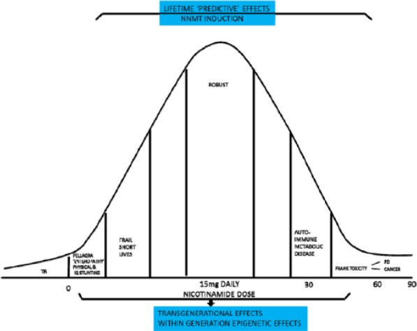 Figure 31