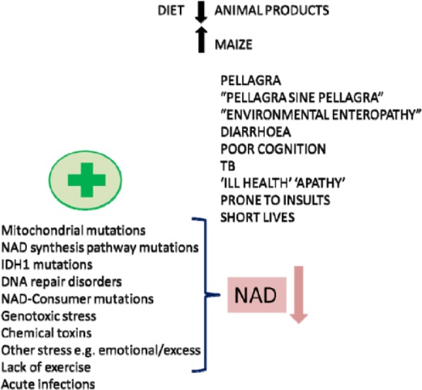 Figure 28