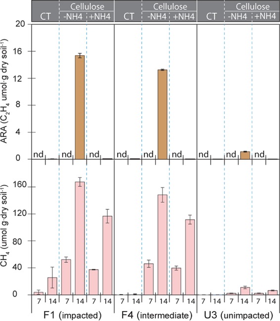 FIG 6