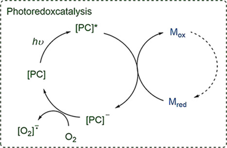 Scheme 29
