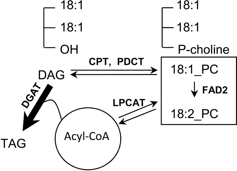 Fig. 5.