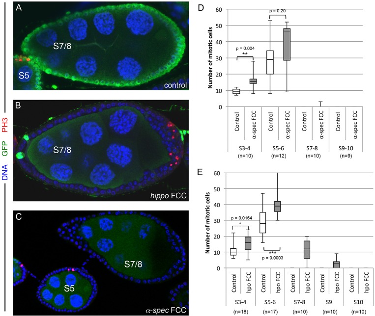 Fig. 3.