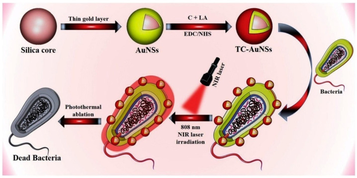 Figure 13