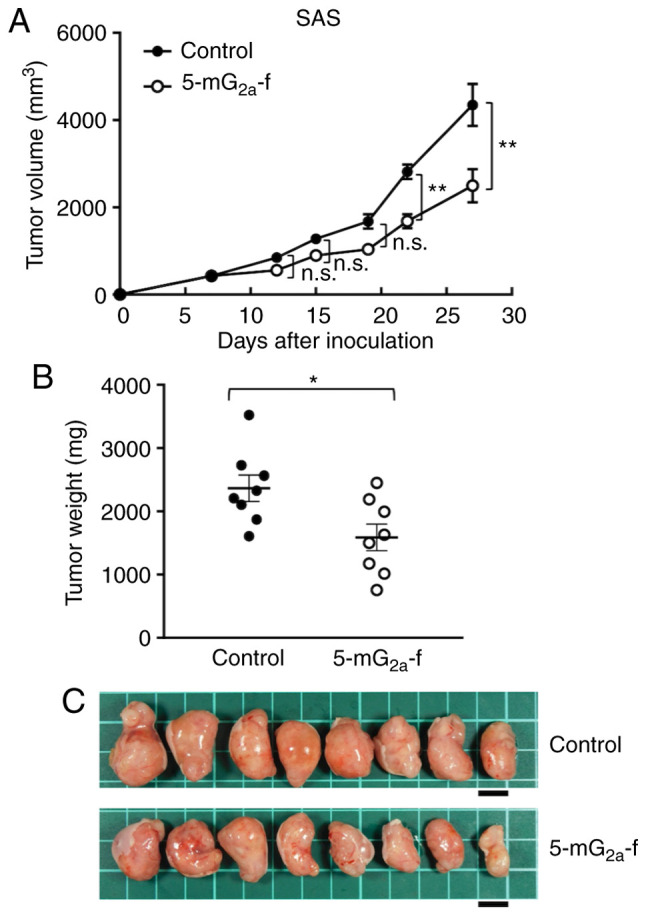 Figure 7.