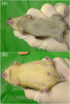 FIGURE 4
