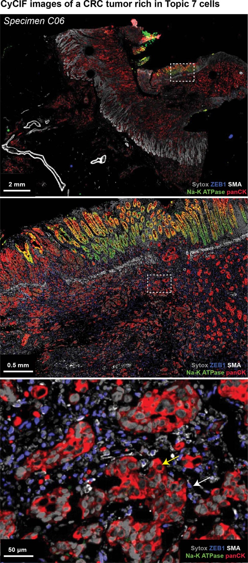 Extended Data Fig. 9