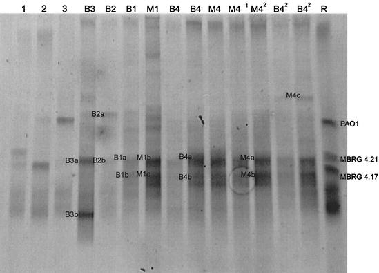 FIG. 2.