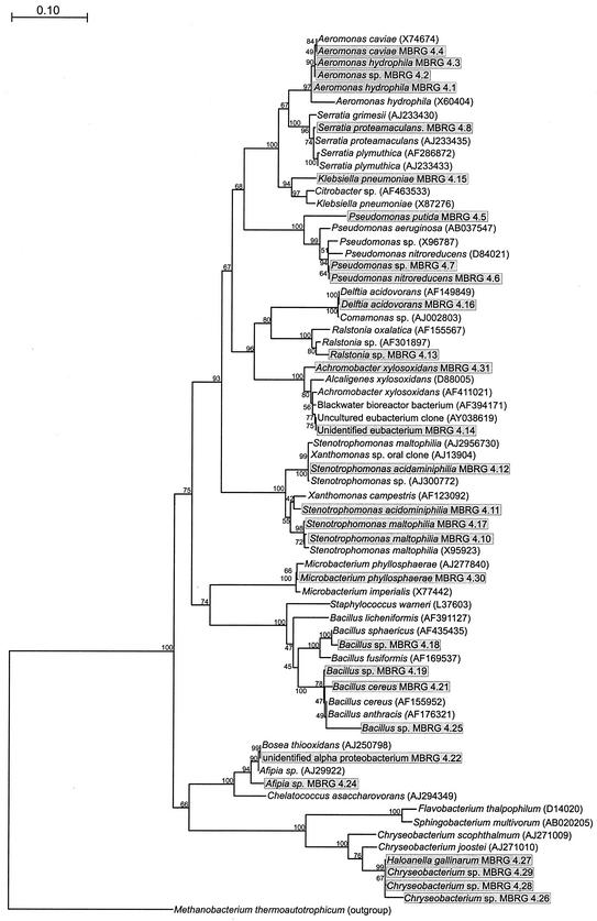 FIG. 4.