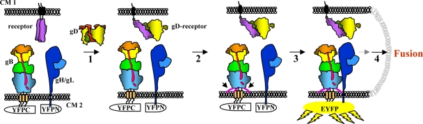 FIG. 6.