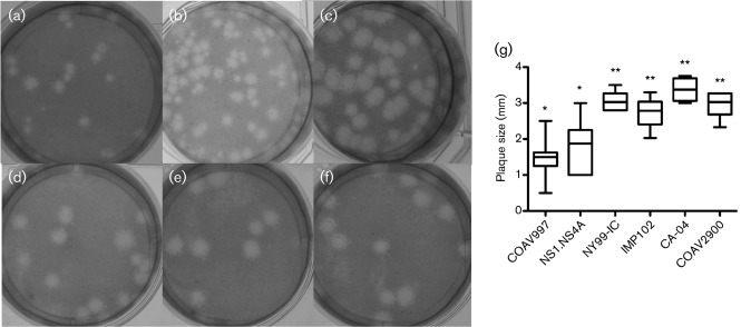 Fig. 5. 