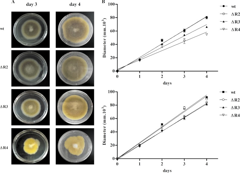 Fig 4