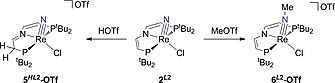 Scheme 6