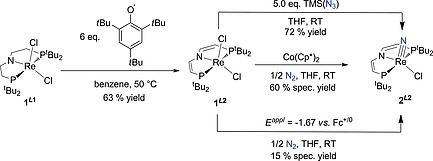 Scheme 3