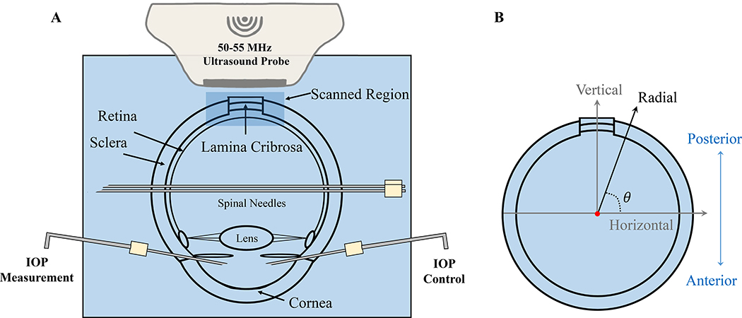 Figure 1: