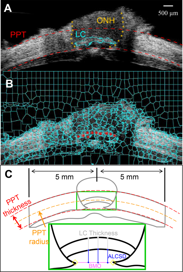 Figure 2: