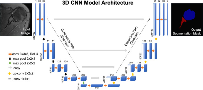 U-shaped architecture of the three-dimensional convolutional neural network (3D CNN) model used for supervised learning. Algorithm model where blue rectangles represent feature maps with the size and the number of feature maps indicated. White boxes represent copied feature maps. The number of feature maps doubles at each pooling. The architecture represented in this model contains 64 feature maps in the first and last layer of the network and four layers in the contracting and expanding path. The purpose of the contracting path is to capture the context of the input image to be able to do segmentation. The purpose of the expanding path is to enable precise localization combined with contextual information from the contracting path. The color-coded arrows denote different operations in this neural network. Max pool = max-pooling layer, ReLU = rectified linear unit.