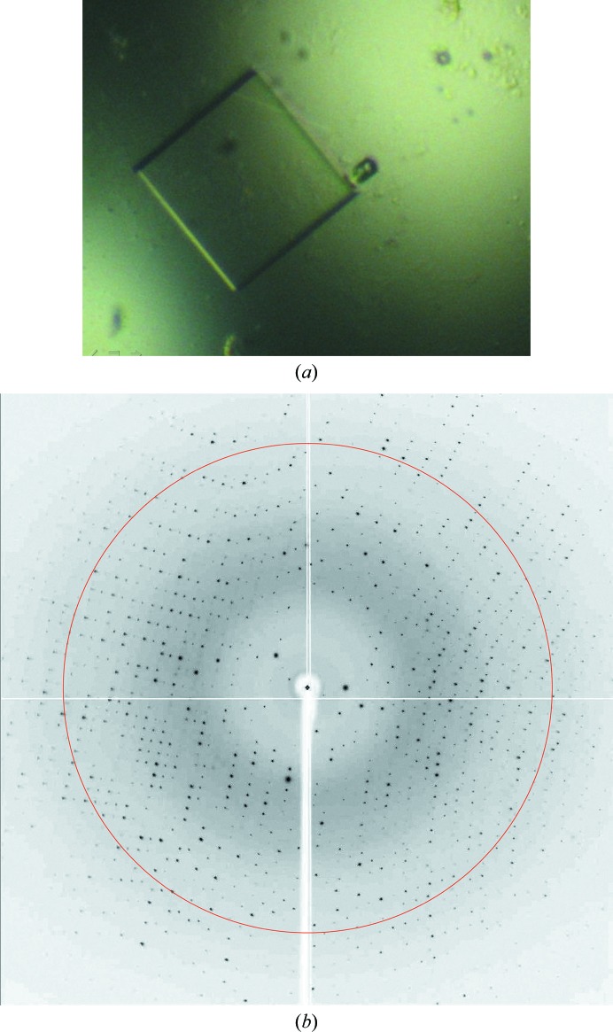 Figure 2