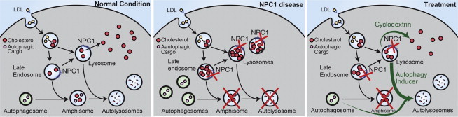 Figure 6