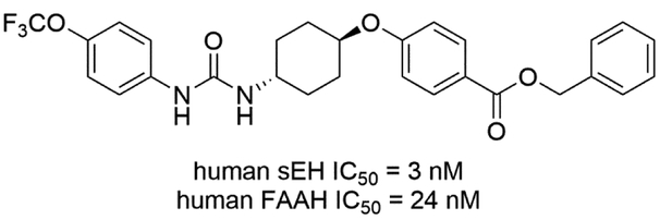 Figure 11.