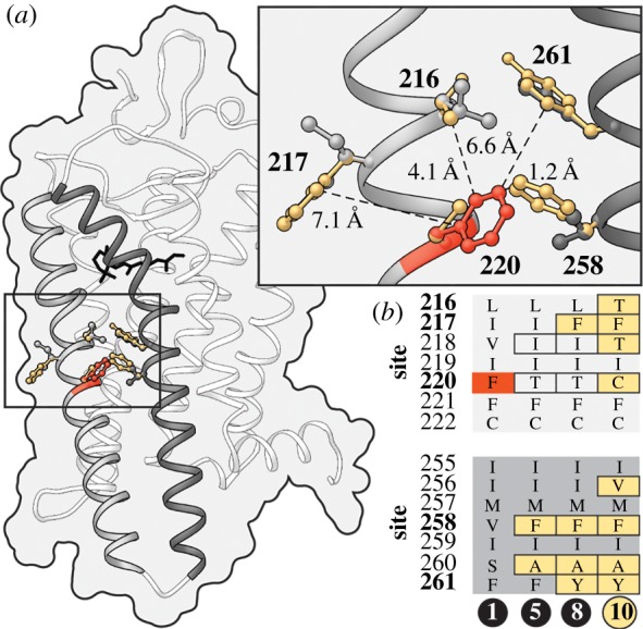 Figure 2.