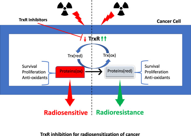 Image, graphical abstract