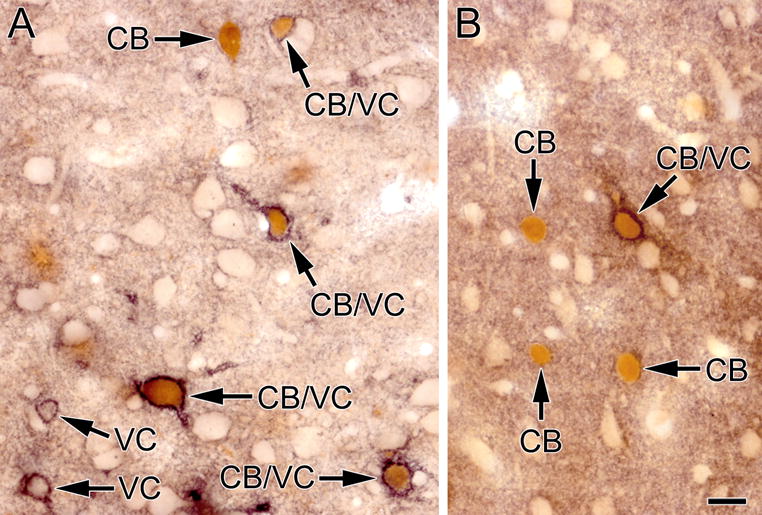 Fig. 9