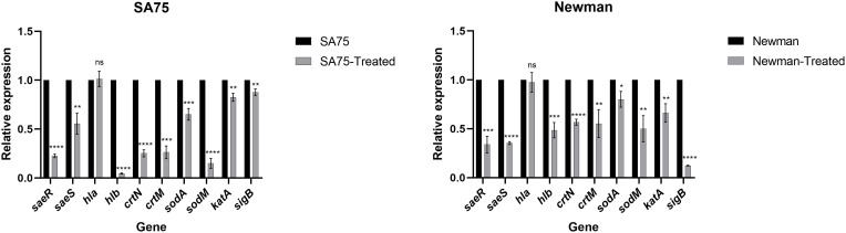 Figure 5