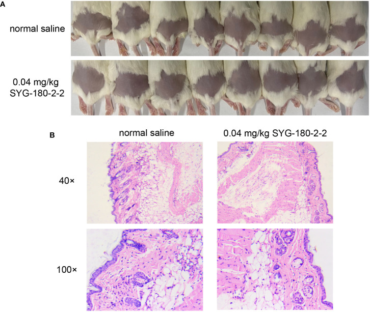 Figure 7