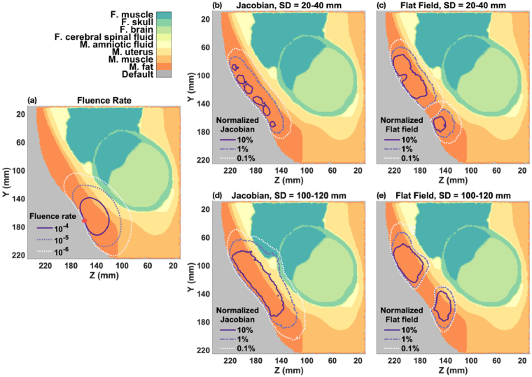 Fig. 6.