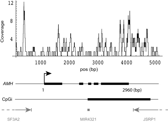 Figure 7