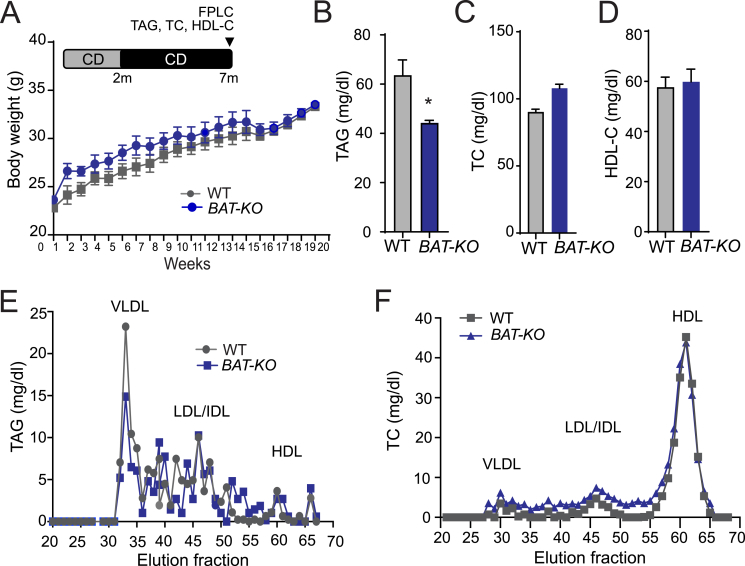 Figure 4