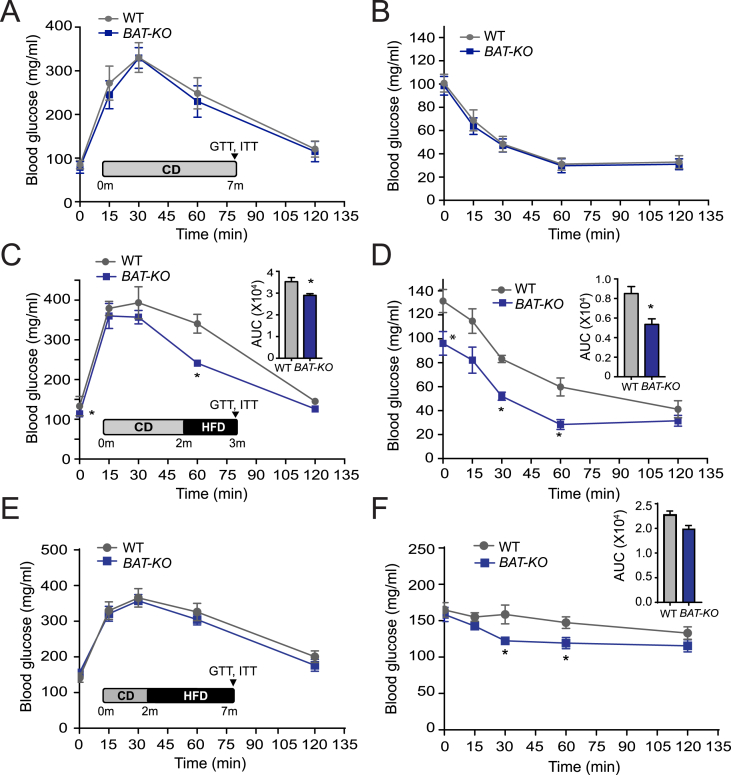 Figure 6