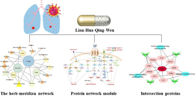 Image, graphical abstract