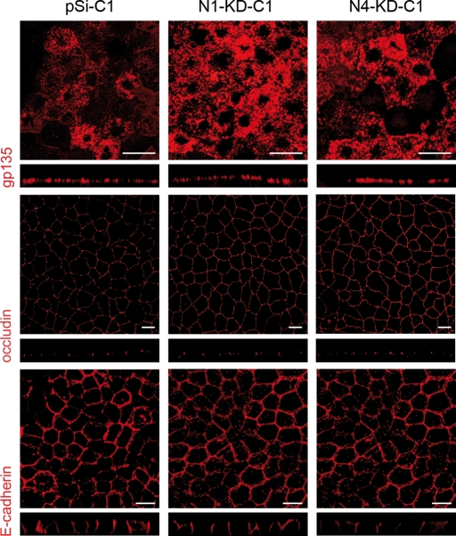 Figure 2.