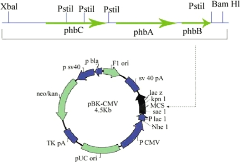 Fig. 3